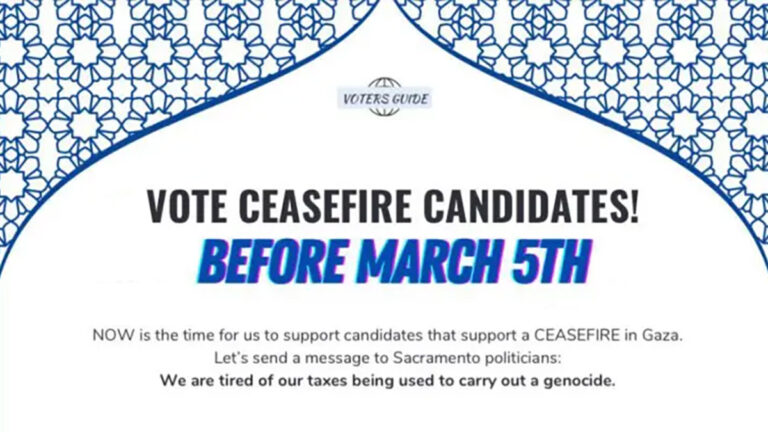 Pro-Cease Fire Candidate Guide